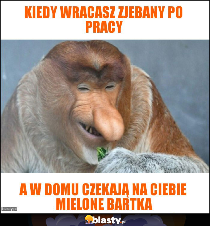 Kiedy wracasz zjebany po pracy