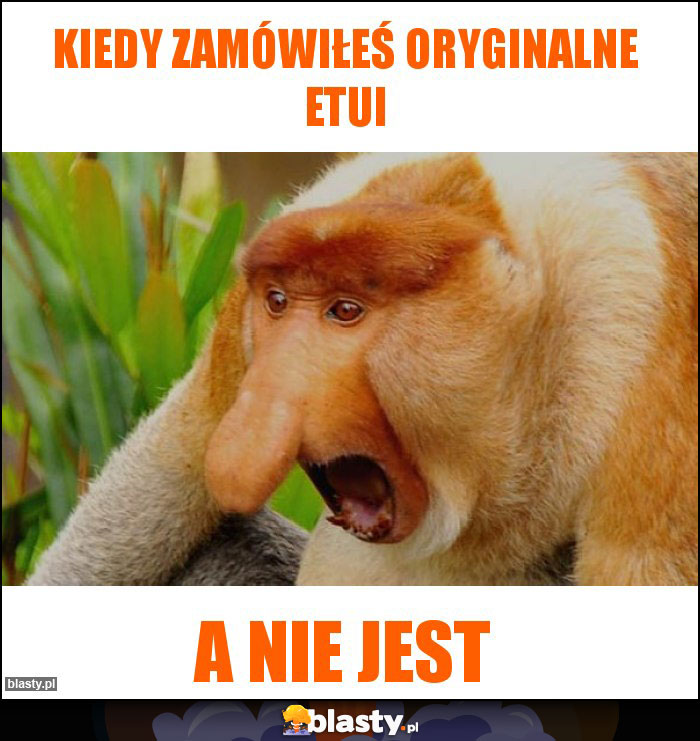 kiedy zamówiłeś oryginalne etui