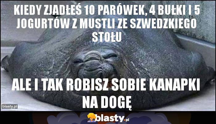 Kiedy zjadłeś 10 parówek, 4 bułki i 5 jogurtów z mustli ze szwedzkiego stołu