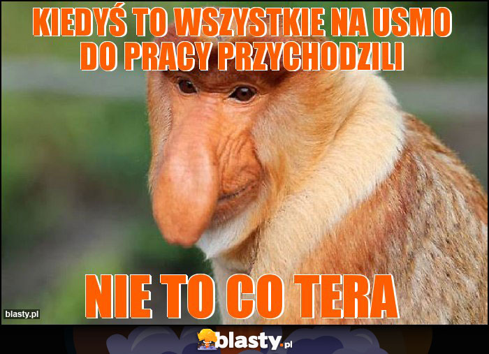 kiedyś to wszystkie na usmo do pracy przychodzili