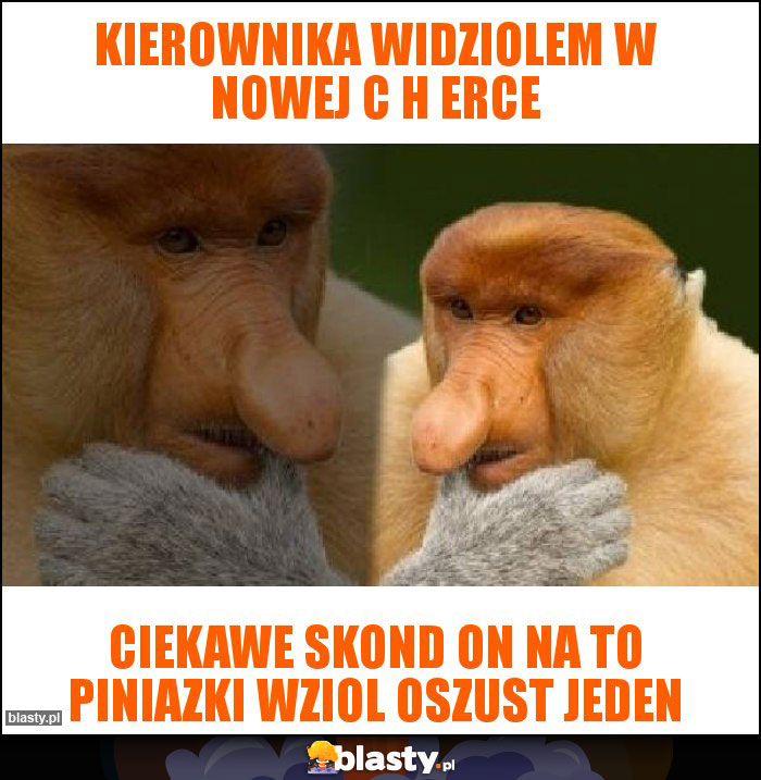 Kierownika widziolem w nowej C H erce