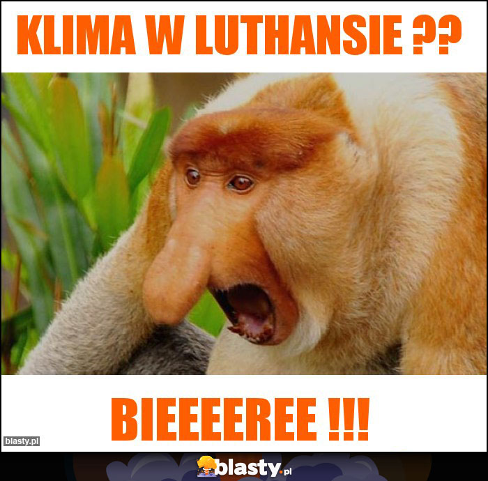 Klima w Luthansie ??