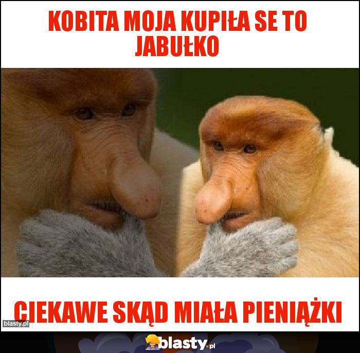 Kobita moja kupiła se to jabułko