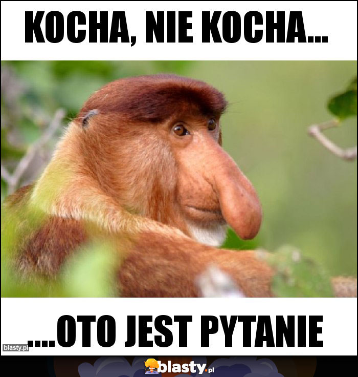 Kocha, nie kocha...