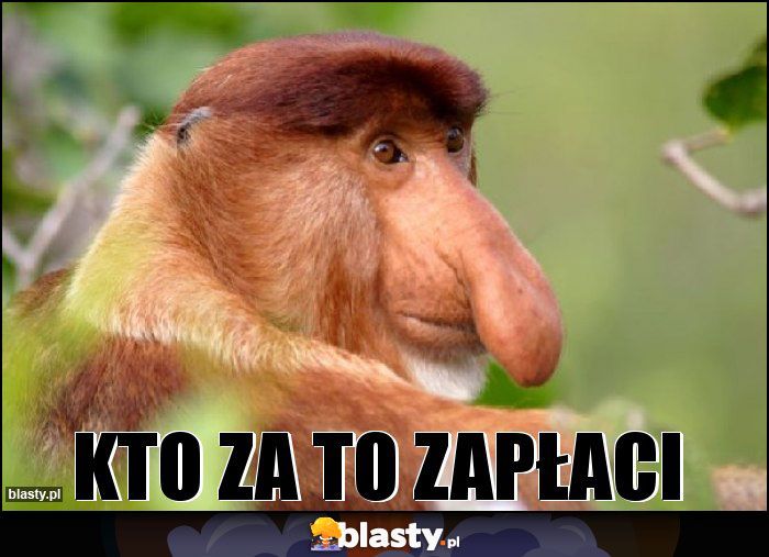 Kto za to zapłaci