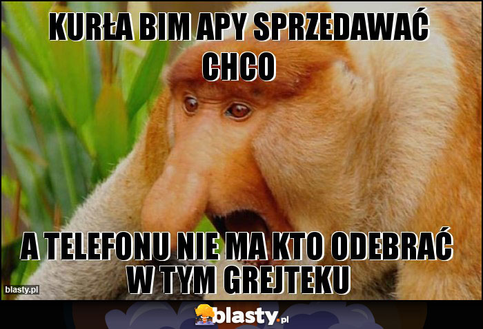 KURŁA BIM APY SPRZEDAWAĆ CHCO