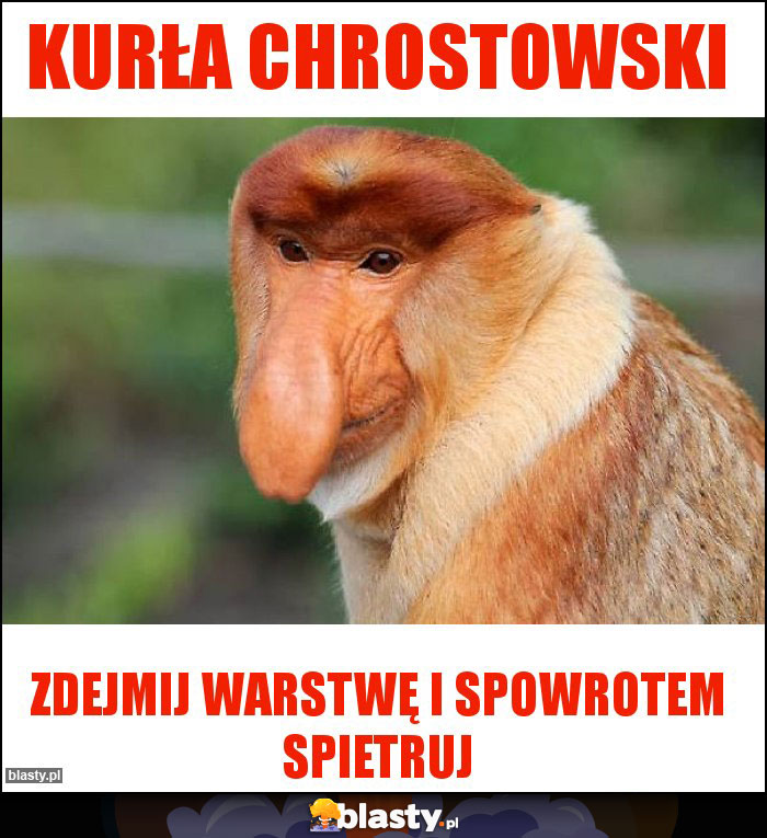 Kurła Chrostowski