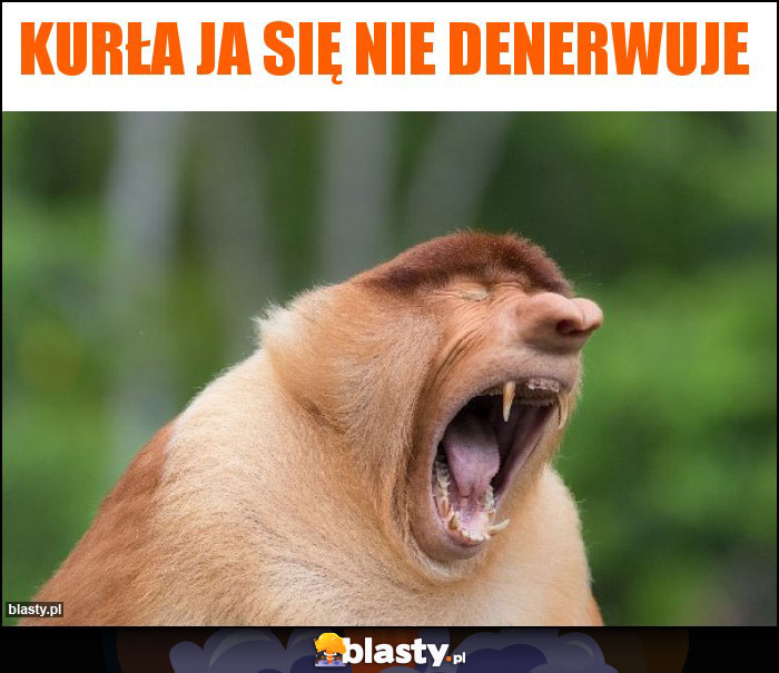 Kurła ja się nie denerwuje