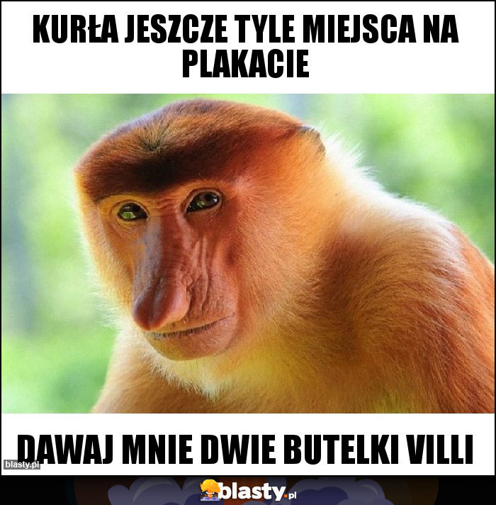 Kurła jeszcze tyle miejsca na plakacie