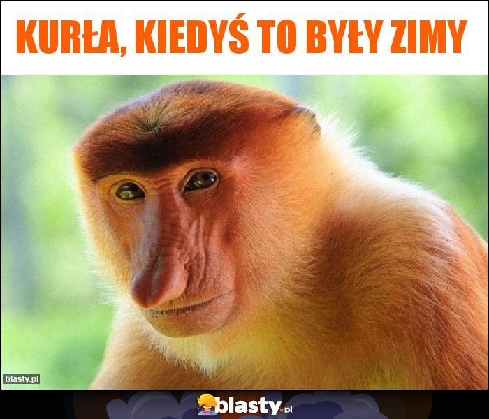 KURŁA, KIEDYŚ TO BYŁY ZIMY