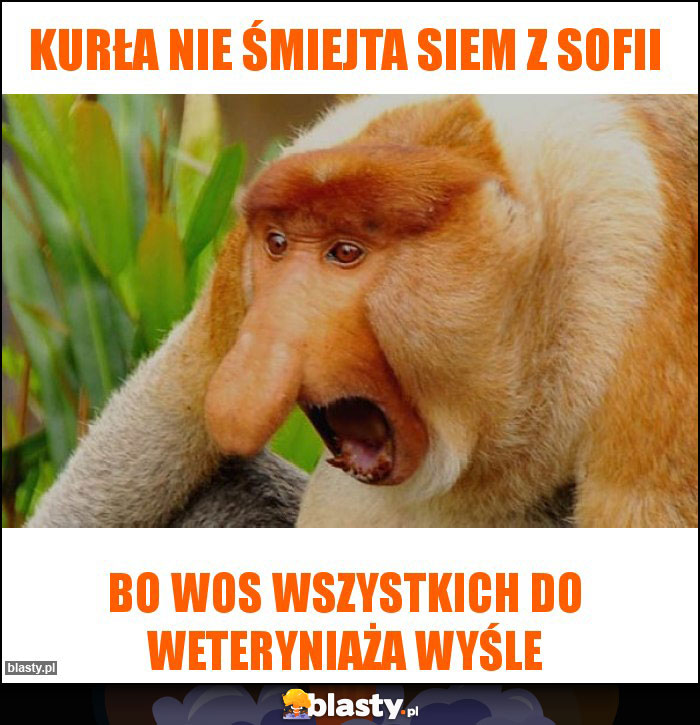 Kurła nie śmiejta siem z Sofii