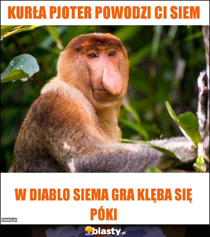 Kurła pjoter powodzi Ci siem