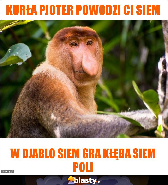 Kurła pjoter powodzi Ci siem