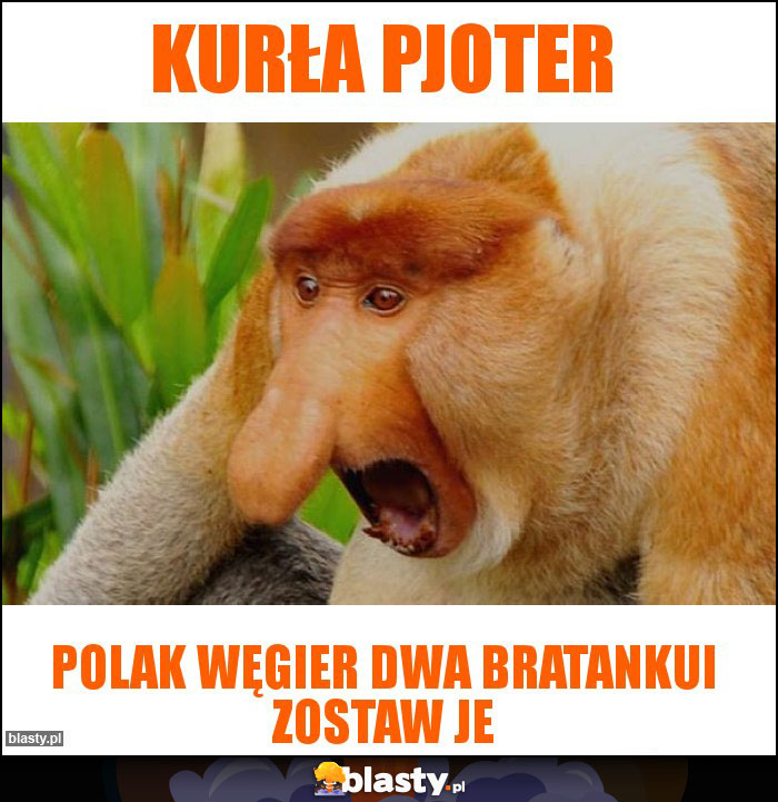 Kurła pjoter