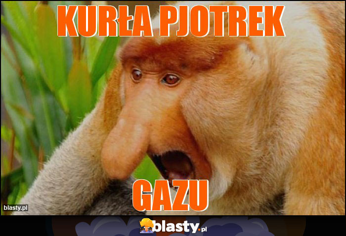 KURŁA PJOTREK