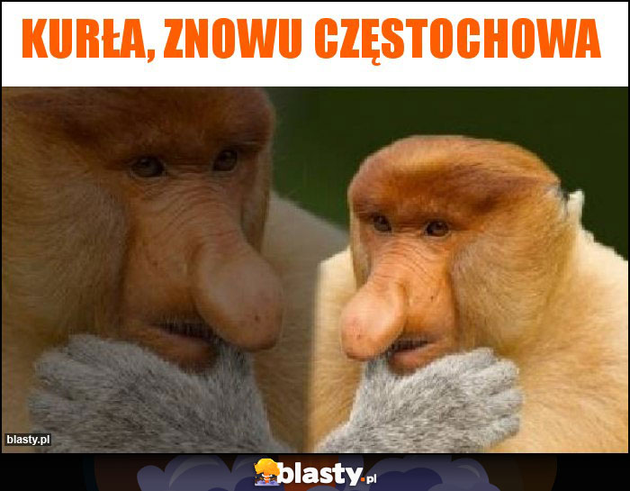 Kurła, znowu Częstochowa