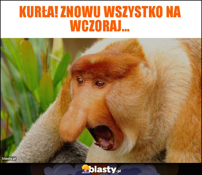 Kurła! Znowu wszystko na wczoraj...