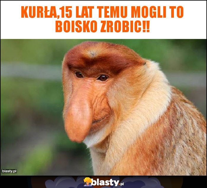 KURŁA,15 LAT TEMU MOGLI TO BOiSKO ZROBIC!!