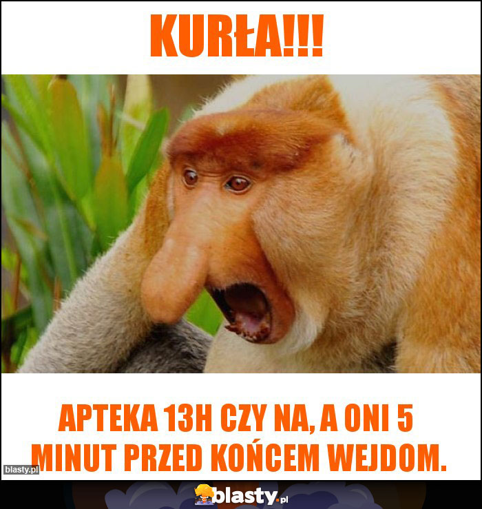 KURŁA!!!