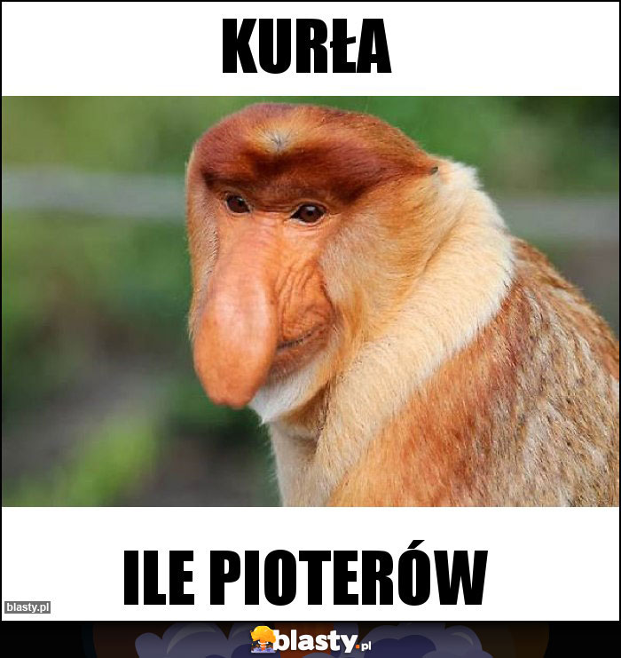 Kurła