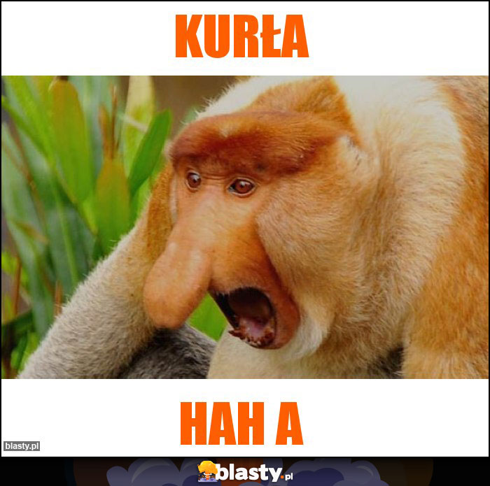 Kurła