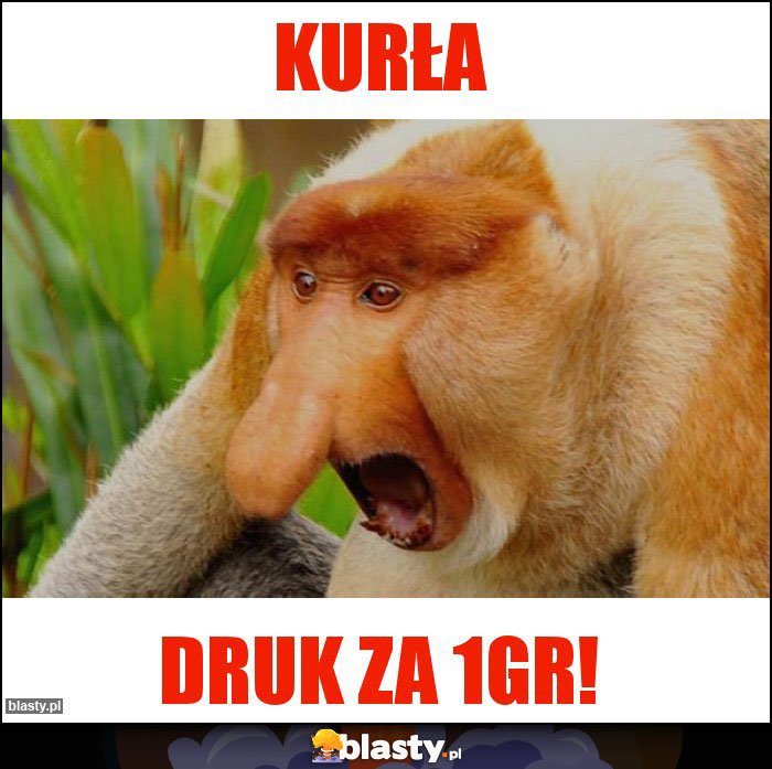 Kurła