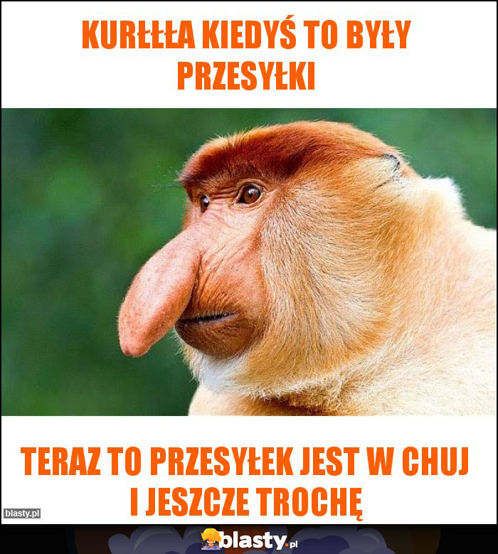 KURŁŁŁA KIEDYŚ TO BYŁY PRZESYŁKI