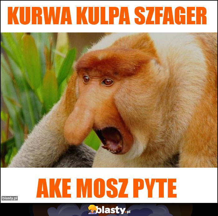 Kurwa kulpa Szfager