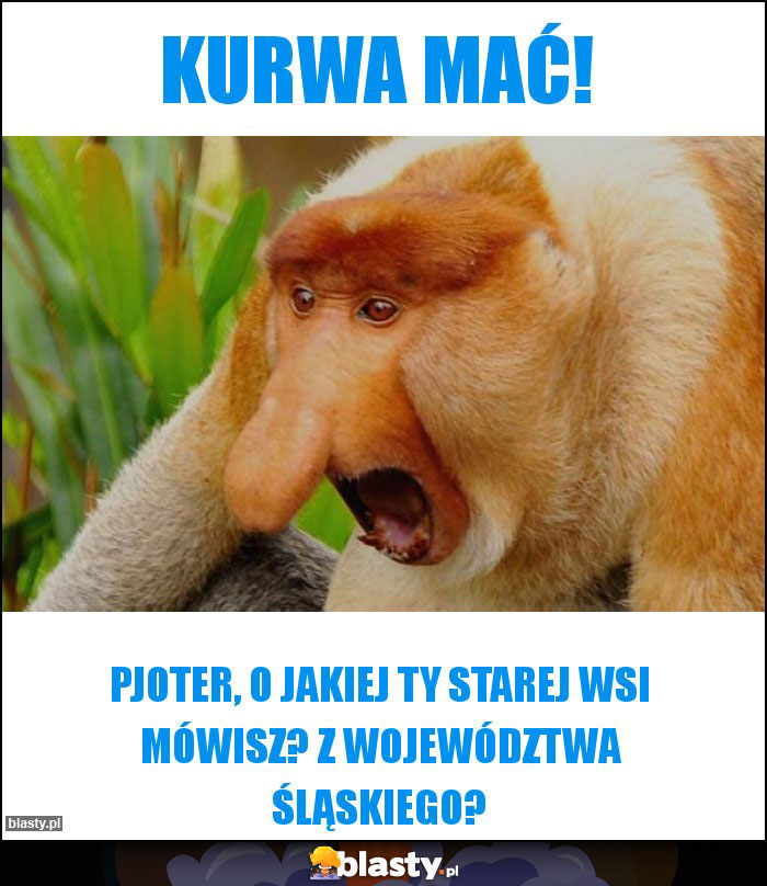 KURWA MAĆ!