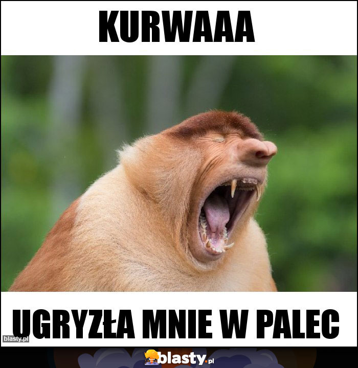 Kurwaaa