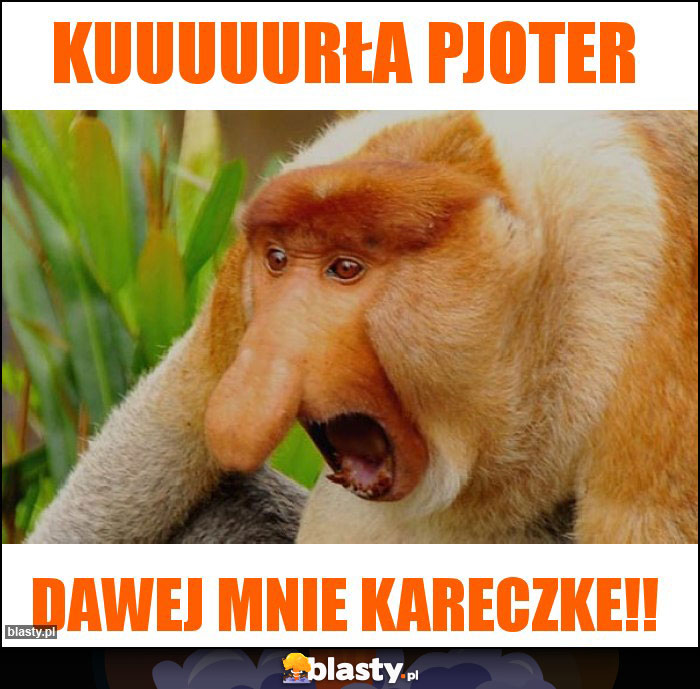 KUUUUURŁA PJOTER