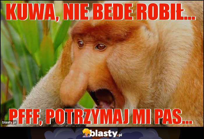 Kuwa, nie bede robił...