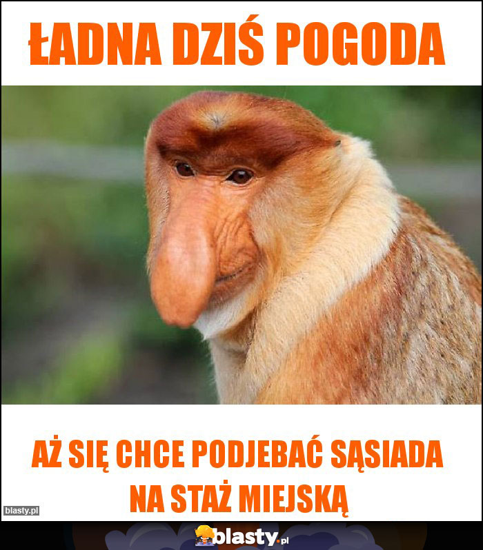 Ładna dziś pogoda