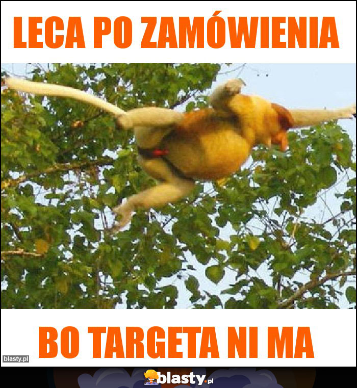 Leca po zamówienia