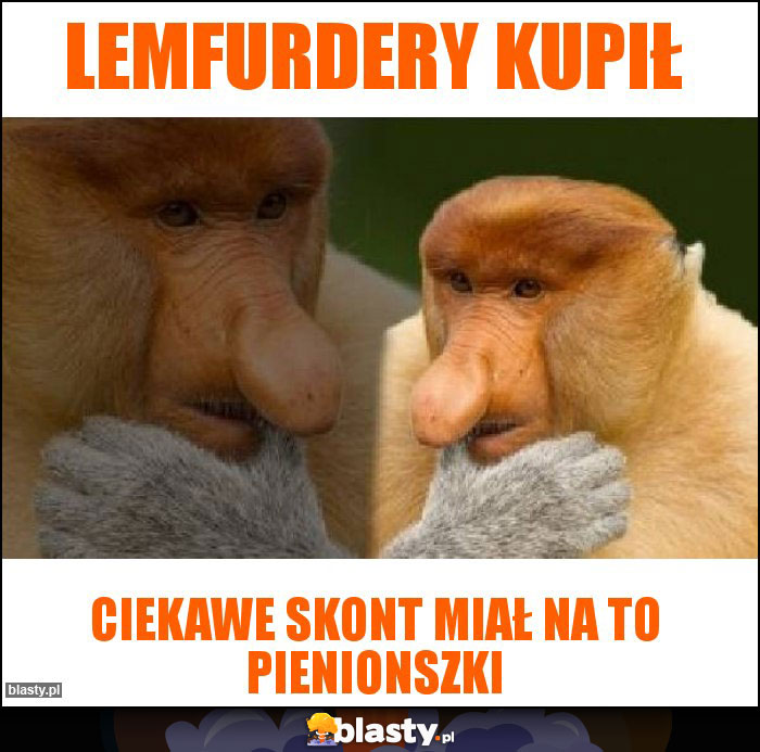 Lemfurdery kupił