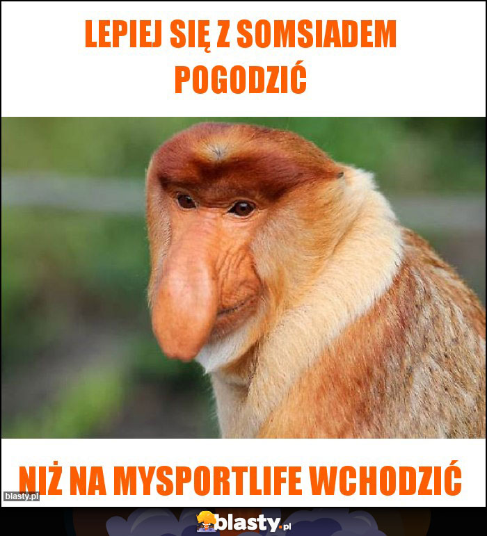 Lepiej się z somsiadem pogodzić