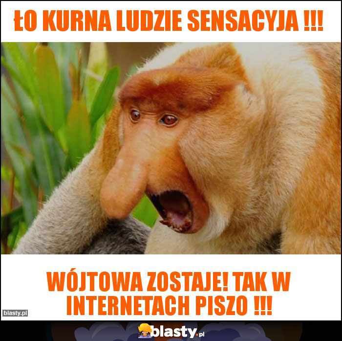 Ło kurna ludzie sensacyja !!!