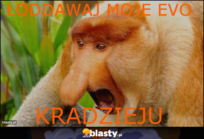 Łoddawaj moje evo