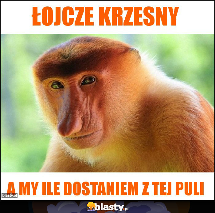 łojcze krzesny