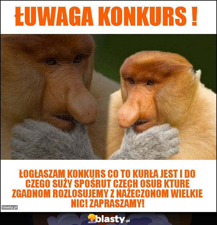 ŁUWAGA KONKURS !