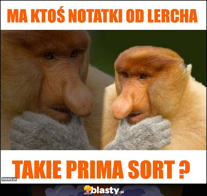 Ma ktoś notatki od lercha