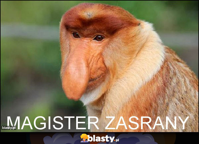 MAGISTER ZASRANY