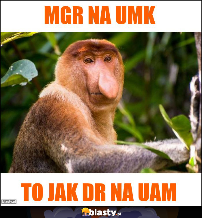 MGR NA UMK