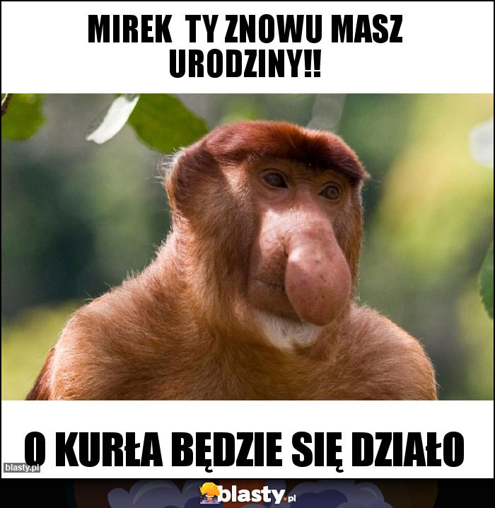 Mirek  ty znowu masz urodziny!!