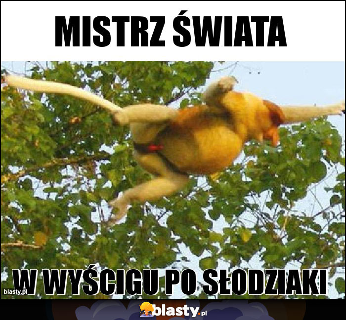 Mistrz świata