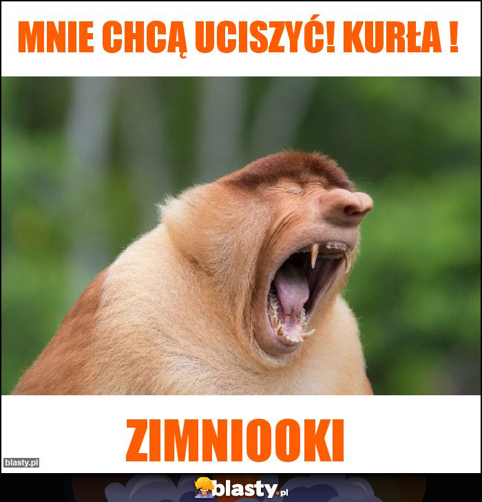 MNIE CHCĄ UCISZYĆ! KURŁA !