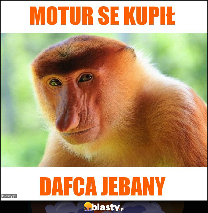 Motur se kupił