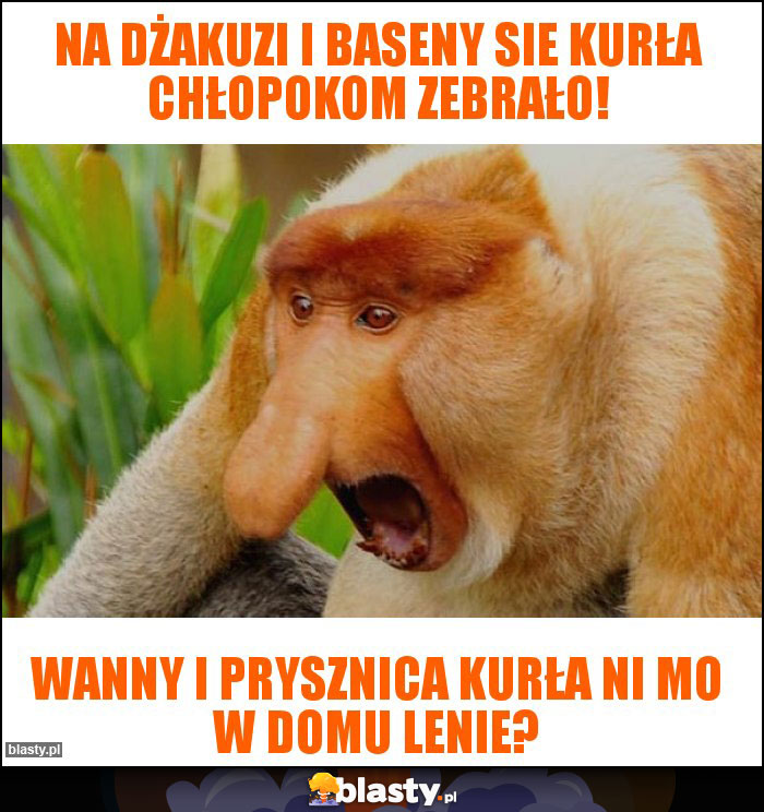 Na dżakuzi i baseny sie kurła chłopokom zebrało!