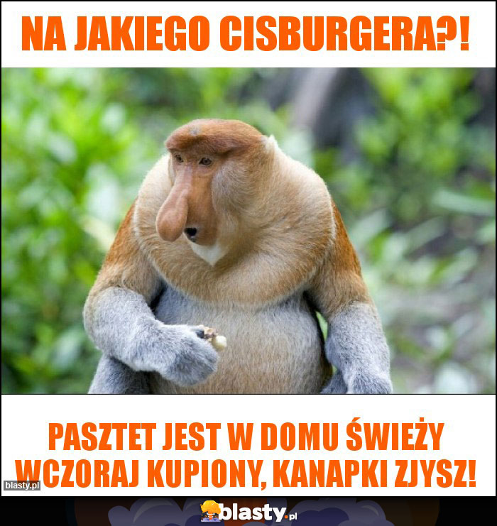 Na jakiego cisburgera?!