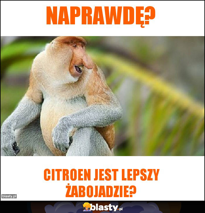 Naprawdę?